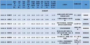 聚焦科创首批五星新股 计算机软硬件技术开发引领创新浪潮